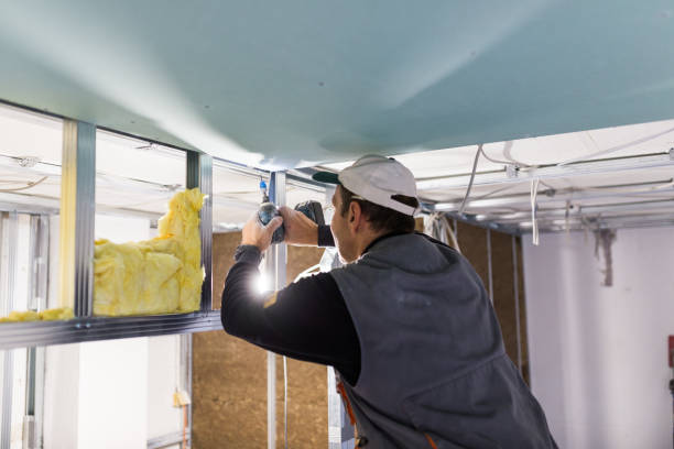 Best Insulation Installation Services in Watertown, WI