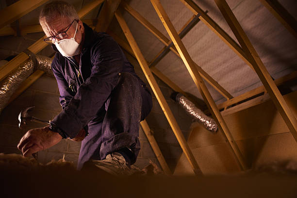 Best Insulation Maintenance and Repair in Watertown, WI